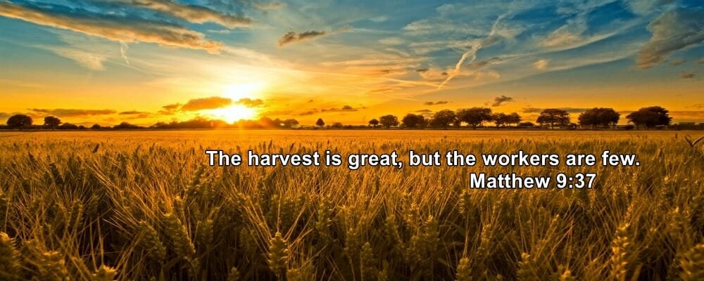 the spiritual harvest is great, share the gospel of jesus christ with confidence, evangelism, share christ without fear, spiritual harvest is great, the harvest is plentiful, the harvest is great, follow jesus be fishers of men, fisher of men, follow jesus, pursuing intimacy with god, pursuing intimacy with god book, pursuing intimacy with god bible studies, jesus, jesus christ, intimacy with god. pursuing intimacy with god, prayer, worship, bible, bible study, bible studies, hear gods voice, gods will, know god, relationship with jesus, jesus christ, disciples, discipleship, worship, true worship, praise, prayer, why pray, powerful prayer, gods plans, gods purpose, praisegod, revival, spiritual revival, spiritual awakening, missions, mission trips, successfully share christ, share jesus