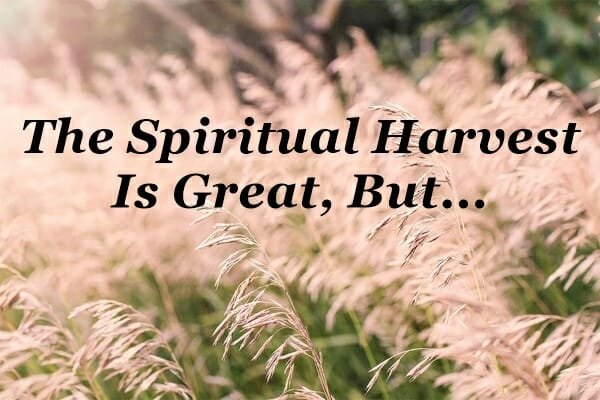 spiritual harvest is great, the harvest is great, the harvest is plentiful, matthew 9 37, evangelism