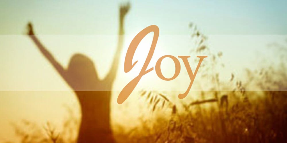 fruits of the holy spirit, joy, pure joy, god's joy