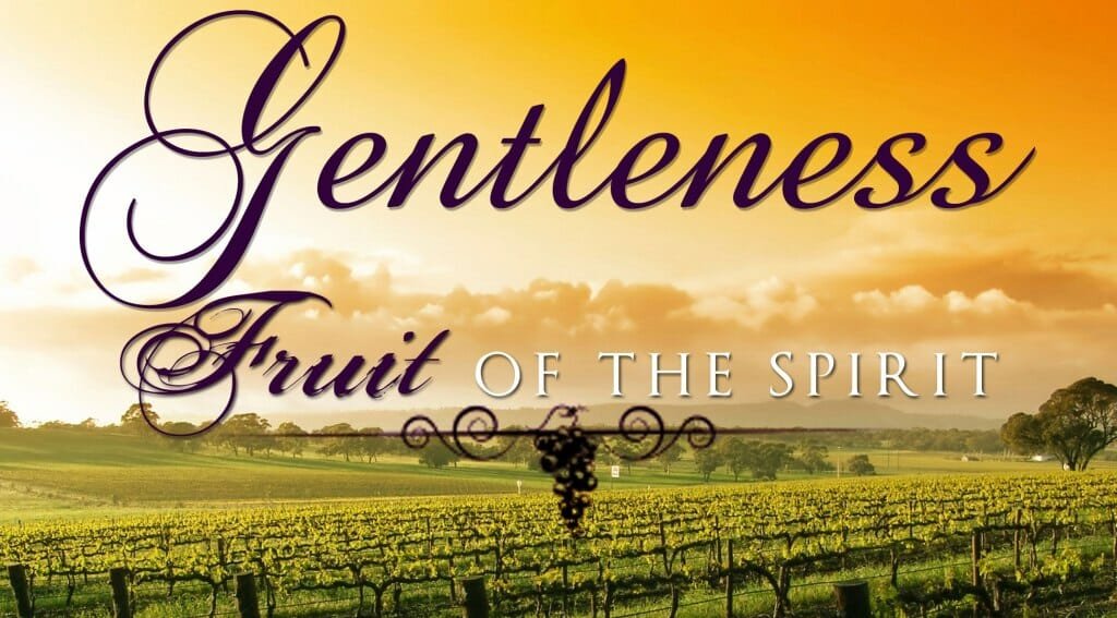 fruits of the holy spirit, gentleness, gentleness of god, gentleness of jesus