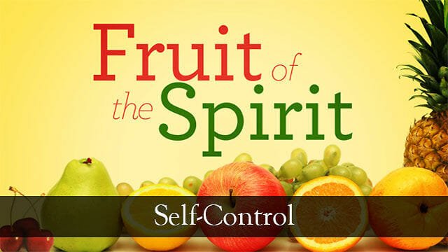 fruits of the holy spirit, self control, flesh, flesh is weak, holy spirit, christian life