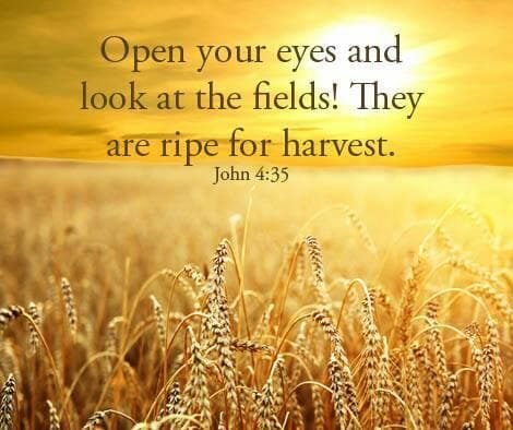 the spiritual harvest is great, urgency to share the gospel, share jesus, share the gospel with others, evangelism, missions