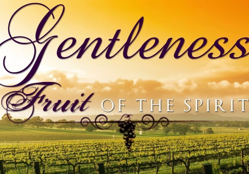 fruit of the spirit, fruit of the holy spirit, gentleness, holy spirit