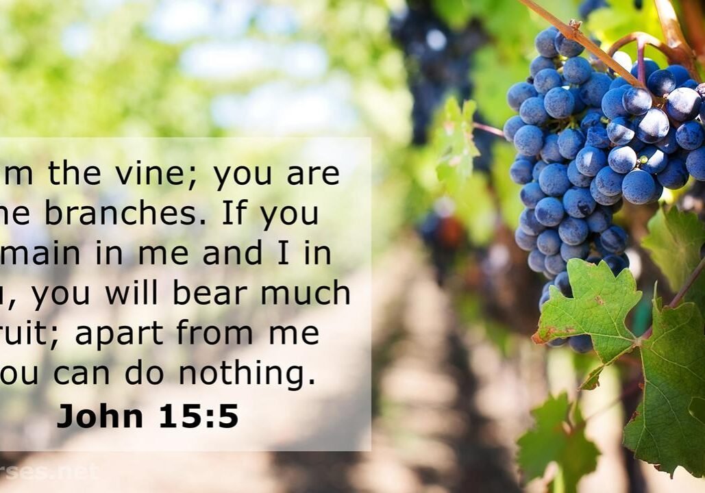 powerful prayer, victorious life, fruitful christian, fruitful victorious life, fruitful ministry