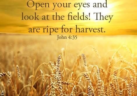 missions stories, missions, why missions is important, reach the lost, make disciples