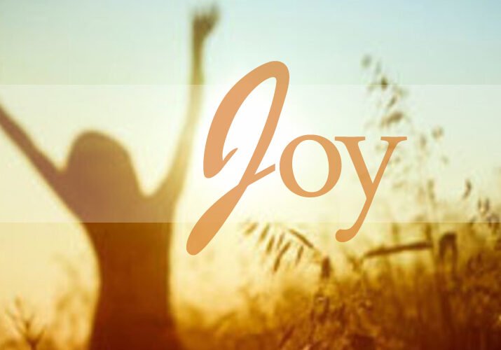 fruit of the holy spirit, joy, divine joy, joy of jesus, joy serving jesus, the joy of the lord