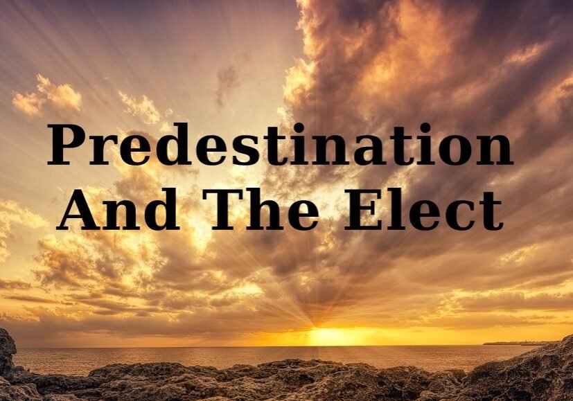 predestination and the elect, predestination in the bible, the elect