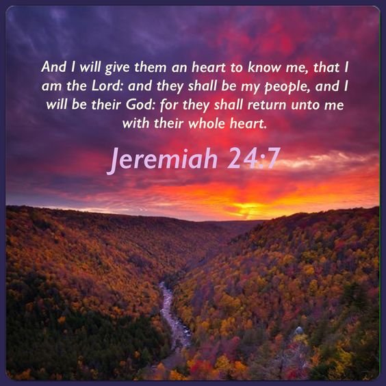 Seek First The Kingdom Of God 4 seek god, seek first gods kingdom, jeremiah 24 7