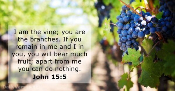 fruitful life, fruitful ministry, john 15 5