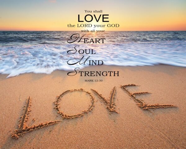 are you truly following jesus, follow jesus, matthew 22 37, matthew 6 33, first love