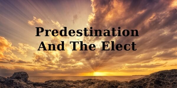 predestination and the elect, predestination in the bible, the elect