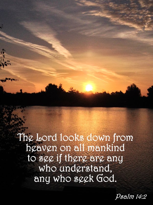 Seek First The Kingdom Of God 5 seek first for gods kingdom, seek god, psalm 14 2