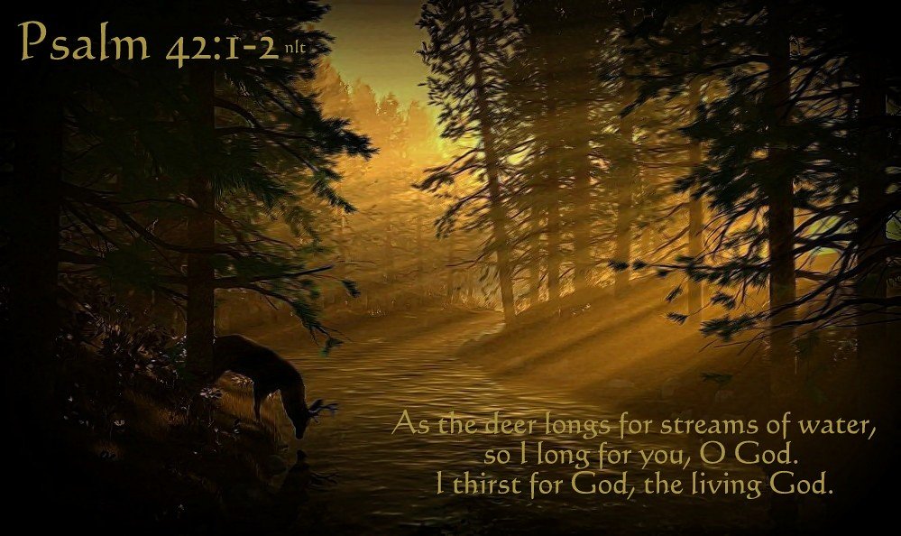 Seek First The Kingdom Of God 6 seek first for gods kingdom, seek god, psalm 42 1-2