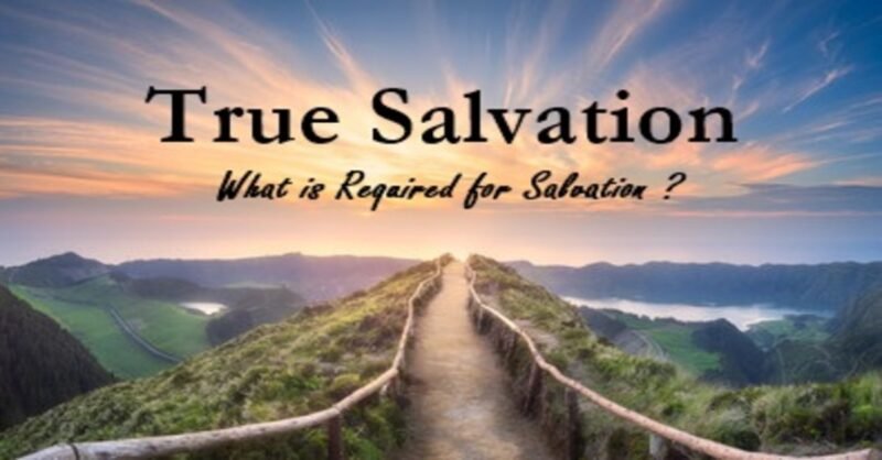 True Salvation - What is Salvation? How Can You Be Saved? 1 true salvation, requirements for true salvation, what is true salvation, eternal life